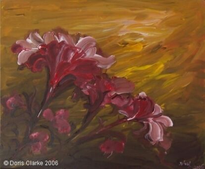 Amaryllis