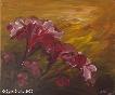 Amaryllis