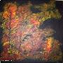 Herbstlich(t)