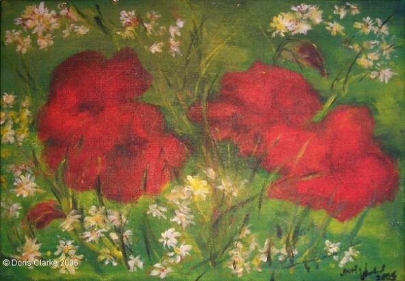 Mohnblumen