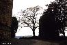 f_b_2000_bn_godesburg_002