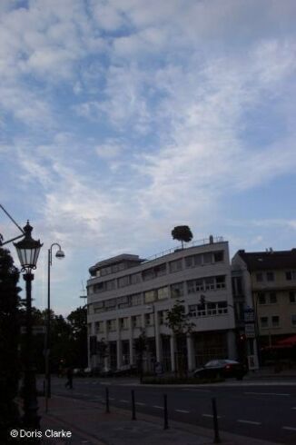 f_b_2003_bn_godesberg_001.jpg