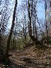 htm/foto/f_n_100_1361