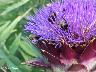 htm/foto/f_n_100_2482