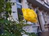 htm/foto/f_n_100_2821