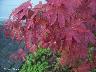 htm/foto/f_n_100_2823