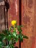htm/foto/f_n_100_3091
