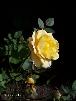 htm/foto/f_n_100_3163