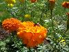 htm/foto/f_n_100_3166