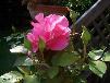 htm/foto/f_n_100_3168