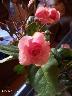 htm/foto/f_n_100_3341