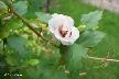 htm/foto/f_n_100_4484