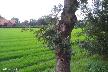 htm/foto/f_n_100_4578