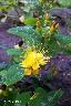 htm/foto/f_n_100_4872
