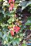 htm/foto/f_n_100_4927