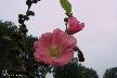 htm/foto/f_n_100_5014