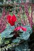 htm/foto/f_n_100_5029