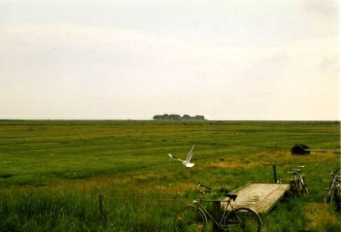 f_n_1997_hallig_hooge_001