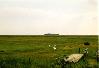 htm/foto/f_n_1997_hallig_hooge_001