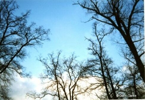 f_n_1999_baum_001