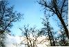 htm/foto/f_n_1999_baum_001