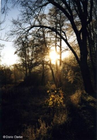 f_n_1999_daemmerung_001