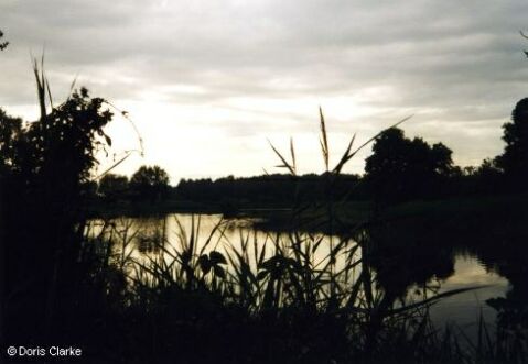 f_n_1999_see_001