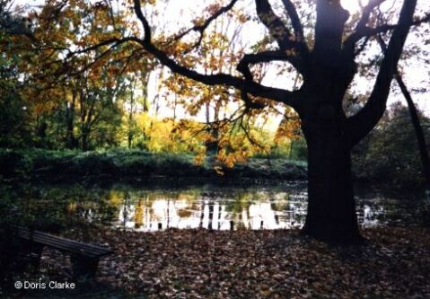 f_n_1999_spree_004