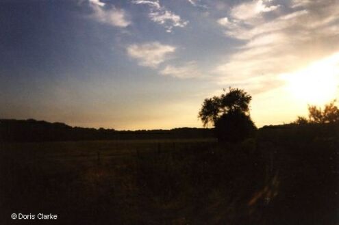 f_n_2000_abend_001