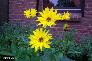 htm/foto/f_n_2006_100_4880