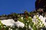 f_n_2006_100_5045