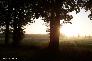 f_n_2006_100_5063