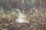 f_n_2006_100_5071
