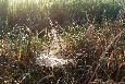 f_n_2006_100_5077