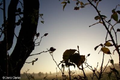 f_n_2006_100_5086