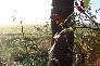 f_n_2006_100_5090