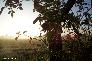f_n_2006_100_5093