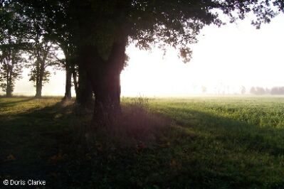 f_n_2006_100_5104
