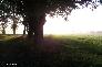f_n_2006_100_5104
