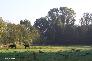 f_n_2006_100_5125