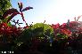 f_n_2006_100_5155