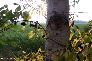 htm/foto/f_n_2006_100_5359