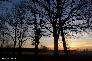 htm/foto/f_n_2006_100_5818