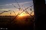 htm/foto/f_n_2006_100_5853
