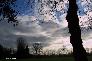 htm/foto/f_n_2006_100_6248