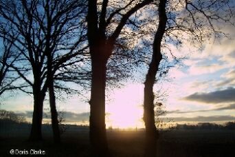 f_n_2006_100_6283