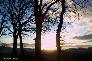 htm/foto/f_n_2006_100_6283