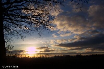 f_n_2006_100_6286