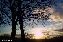 htm/foto/f_n_2006_100_6287