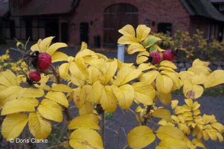 f_n_2007_100_5317
